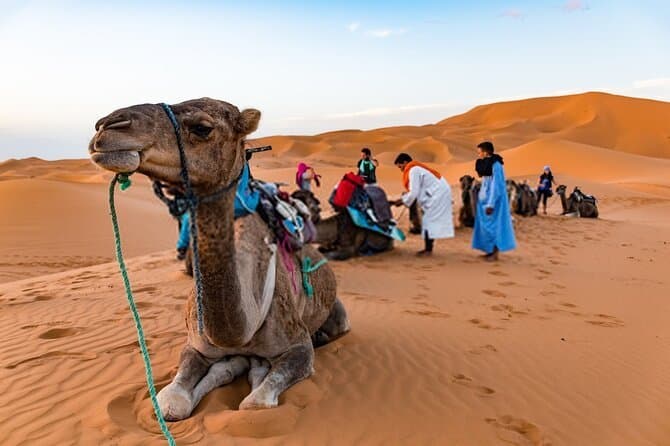 Golden Trails: Zagora Desert Adventure (group) - Image 5