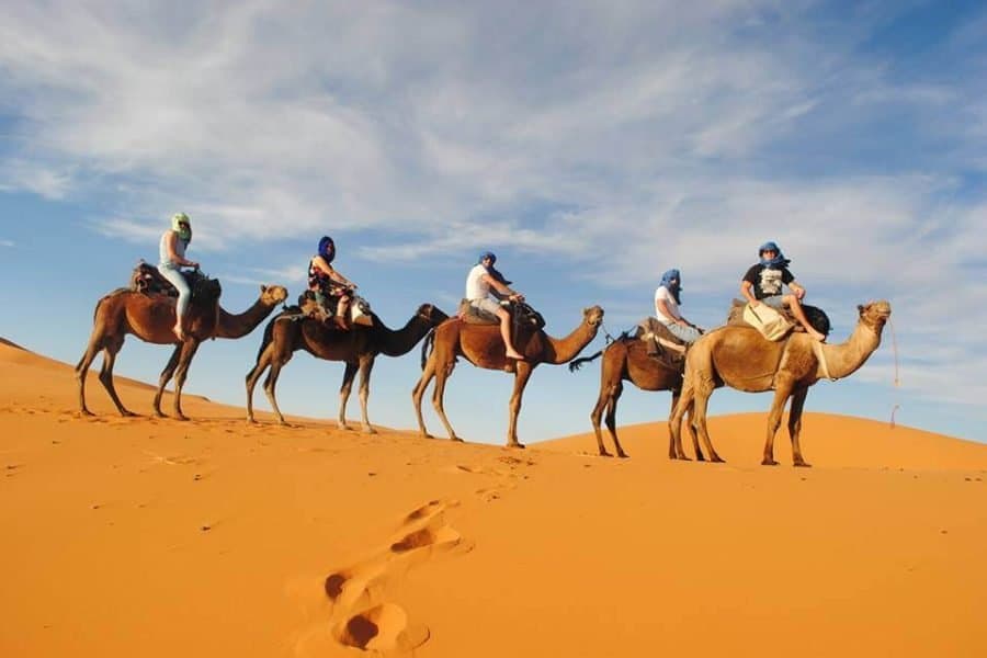 Golden Trails: Zagora Desert Adventure (group) - Image 6