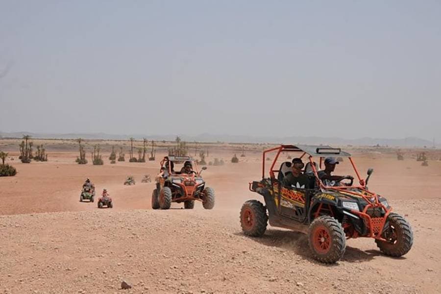Palmeraie Adventures: Buggy Through the Palms - Image 1