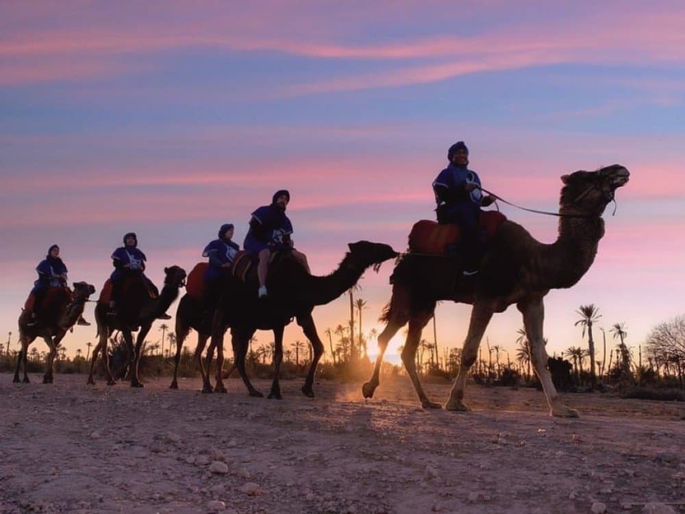 From Golden Trails to Candlelit Nights in Agafay - Image 1