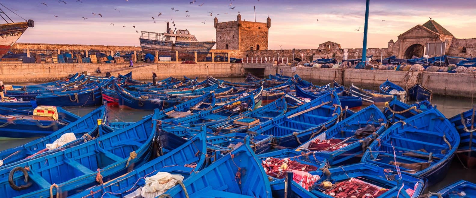 Essaouira – Mogador: Where History Meets the Ocean (Group) - Image 3